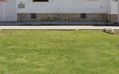 Sagenta: Rasen, Gras, Garten, Grundstueck, Eigentum, Hinterhof, Graspflanze, Wand, Garten, Pflanze