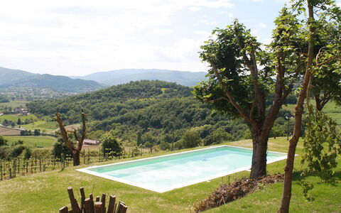 Montebello: Eigentum, Schwimmbad, Haus, Gras, Wildnis, Baum, Berg, Urlaub, Grundeigentum, Estate