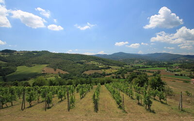 Montebello