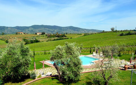 Vinci 36: Pflanze, Himmel, Wolke, Berg, Natürliche Landschaft, Baum, Grundstueck, Biome, Gras, Landschaft