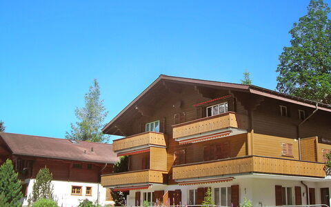 Grindelwald 253: Pflanze, Himmel, Gebäude, Fenster, Baum, Haus, Grundstueck, Holz, Hütte, Abstellgleis
