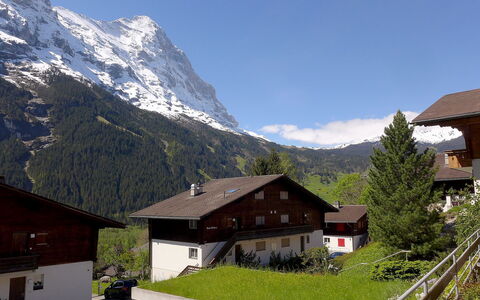 Grindelwald 253: Bergforms, Berg, Gebirge, Bergdorf, Eigentum, Alpen, Himmel, Haus, Dach, Zuhause