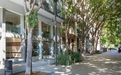 Eixample Esq Rocafort Diputacio: Pflanze, Gebäude, Baum, Schatten, Strassenbelag, Urban Design, Nachbarschaft, Fenster, Bürgersteig, Wohngebiet