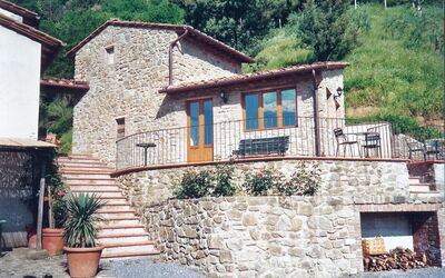 Fattoria Pietrabuona - Podere Sondino - Pietrabuona, Toskana, Italien - I Cinghiali