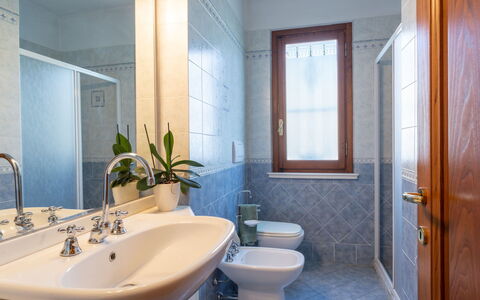 Marinella: Spiegel, Armatur, Zapfhahn, Eigentum, Sinken, Bad Sink, Pflanze, Badezimmer, Lila, Azurblau