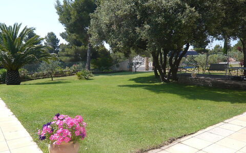 La Péguière: Rasen, Eigentum, Garten, Gras, Garten, Hinterhof, Baum, Landschaft, Pflanze, Landscaping