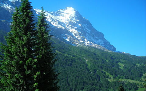 Chalet Almis 5: Bergforms, Berg, Balsamtanne, Tropische Und Subtropische Koniferenwald, Natur, Baum, Fichten-Fir Wald, Wildnis, Bergstation, Gebirge