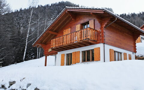 Elorian: Schnee, Winter, Haus, Zuhause, Eigentum, Blockhaus, Hütte, Dach, Gebäude, Grundeigentum