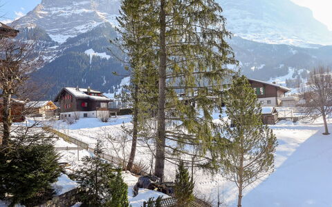 Chalet Spassvogel: Berg, Himmel, Schnee, Natürliche Landschaft, Baum, Lärche, Steigung, Pflanze, Gebäude, Hochland