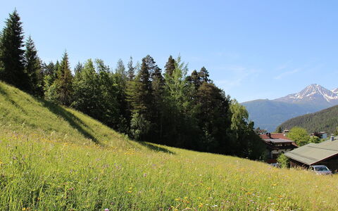 Lueg Ins Land: Himmel, Pflanze, Blume, Berg, Pflanzengemeinschaft, Natur, Blatt, Natürliche Landschaft, Steigung, Vegetation