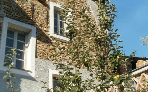 Marina di Andora 400: Himmel, Daytime, Fenster, Pflanze, Eigentum, Gebäude, Die Architektur, Vegetation, Gelb