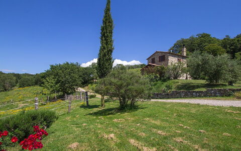 Casalini: Vegetation, Eigentum, Baum, Gras, Garten, Haus, Botanik, Pflanze, Graspflanze, Grundeigentum