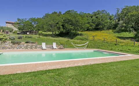 Casalini: Pflanze, Himmel, Wasser, Schwimmbad, Rechteck, Baum, Grundstueck, Schatten, Gras, Freizeit