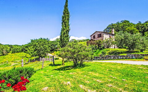 Casalini: Natürliche Landschaft, Strauch, Landschaft, Ländliches Gebiet, Garten, Grundstueck, Ground, Hütte, Wiese
