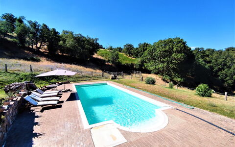 Casalini: Wasser, Himmel, Pflanze, Schwimmbad, Natur, Baum, Rechteck, Gras, Gewässer, Schatten