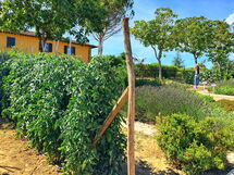 Podere Sant'angelo