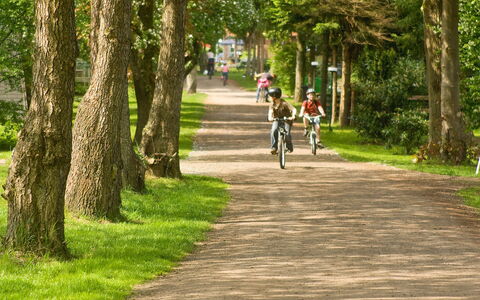 Geesthof: Fahrrad, Pflanze, Rad, Baum, Strassenbelag, Natürliche Landschaft, Sonnenlicht, Asphalt, Gras, Durchgangsstrasse