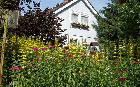 Allmendgasse: Blume, Pflanze, Gebäude, Fenster, Himmel, Haus, Natürliche Landschaft, Baum, Gelb, Hütte