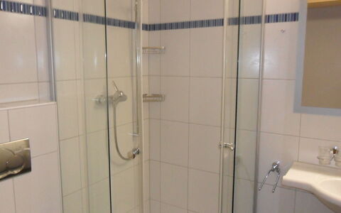 Ufem Stutz: Duschtür, Armatur, Duschkopf, Sinken, Badezimmer, Dusche, Brausenstange, Fussboden, Wand