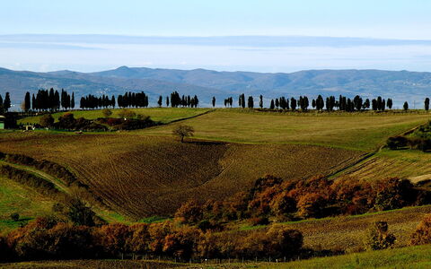 Dante: Wiese, Natürliche Landschaft, Hügel, Hochland, Grün, Bergforms, Weide, Natürlichen Umgebung, Himmel, Berg