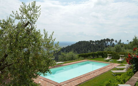 Nel Guasto: Schwimmbad, Eigentum, Haus, Grundeigentum, Baum, Gebäude, Estate, Resort, Gras, Urlaub