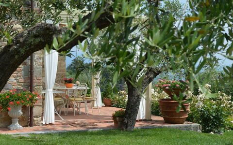 Nel Guasto: Baum, Eigentum, Garten, Pflanze, Botanik, Hinterhof, Garten, Gehölz, Blume, Landscaping