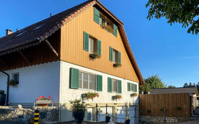Wangenried 100: Himmel, Pflanze, Gebäude, Fenster, Eigentum, Blumentopf, Haus, Holz, Baum, Zimmerpflanze
