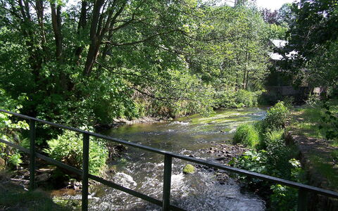 Vielsalm: Natürliche Landschaft, Vegetation, Naturschutzgebiet, Natur, Natürlichen Umgebung, Baum, Auwald, Biome, Wald, Auwald
