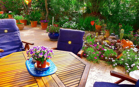 B&B: Garten, Hinterhof, Terrasse, Deck, Majorelle Blue, Blume, Pflanze, Botanik, Tabelle, Garten