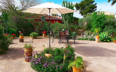 B&B: Garten, Botanischer Garten, Botanik, Blume, Pflanze, Garten, Baum, Grundeigentum, Landscaping, Landschaft