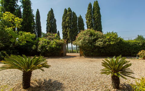 Villa Pedone: Pflanze, Himmel, Pflanzengemeinschaft, Baum, Grundstueck, Gras, Immergrün, Arecales, Natürliche Landschaft, Gehölz