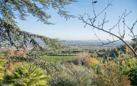 Villa Pedone: Himmel, Pflanze, Pflanzengemeinschaft, Natürliche Landschaft, Grundstueck, Baum, Zweig, Gras, Landschaft, Einfach