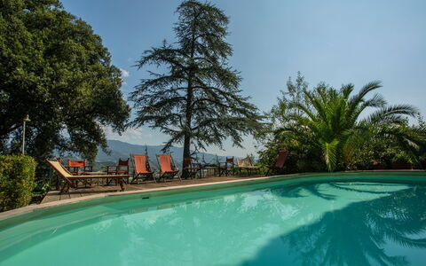 Villa Pedone: Wasser, Himmel, Pflanze, Eigentum, Schwimmbad, Natürliche Landschaft, Baum, Arecales, Freizeit, Grundeigentum