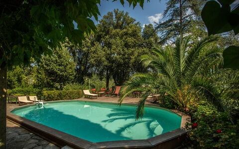 Villa Pedone: Wasser, Pflanze, Schwimmbad, Azurblau, Botanik, Himmel, Wolke, Schatten, Gras, Freizeit