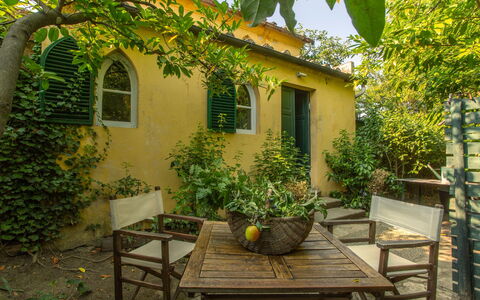 Villa Pedone: Gelb, Strauch, Tür, Garten, Zuhause, Frühling, Blumentopf, Hütte, Hinterhof, Schatten