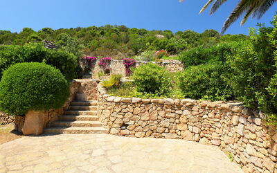 Paradiso
