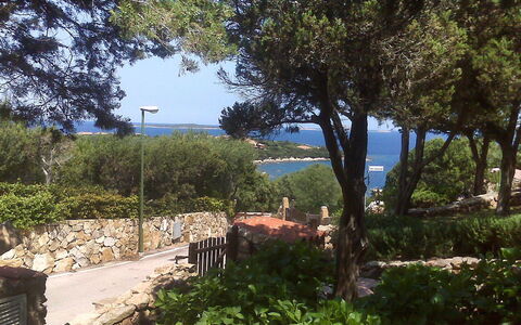 Ippocampo: Eigentum, Vegetation, Baum, Himmel, Haus, Grundeigentum, Botanik, Gras, Pflanze, Zuhause