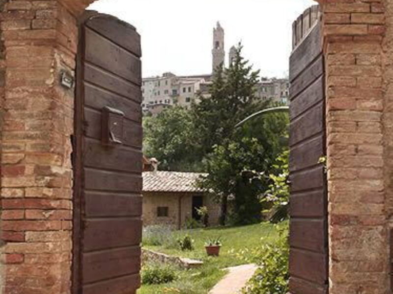 Suite D'artista