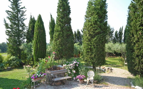 Casa Cipressi: Baum, Thuya, Eigentum, Pflanze, Garten, Strauch, Biome, Gehölz, Immergrün, Gras