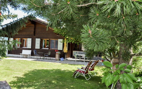 Himmulriich: Pflanze, Pflanzengemeinschaft, Botanik, Gebäude, Blatt, Arecales, Schatten, Vegetation, Gartenmöbel, Baum