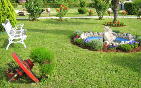 Cvjetko: Rasen, Garten, Garten, Gras, Hinterhof, Landscaping, Graspflanze, Strauch, Landschaft, Pflanze