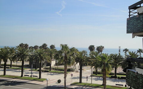 Formentor Ii: Himmel, Pflanze, Wolke, Baum, Schatten, Vegetation, Arecales, Grundstueck, Urban Design, Strassenlicht
