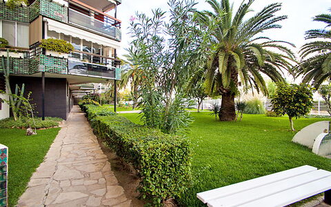 Formentor Ii: Pflanze, Gebäude, Himmel, Eigentum, Grün, Natur, Wolke, Botanik, Vegetation, Urban Design