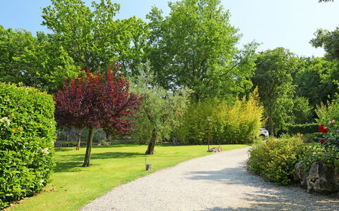 Nest: Pflanze, Himmel, Natur, Blatt, Natürliche Landschaft, Strassenlicht, Baum, Grundstueck, Strassenbelag, Gras