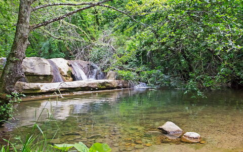 La Valchiera: Wasser, Pflanze, Pflanzengemeinschaft, Natürliche Landschaft, Frühling, Baum, Gewässer, Terrestrische Plant, Wasserlauf