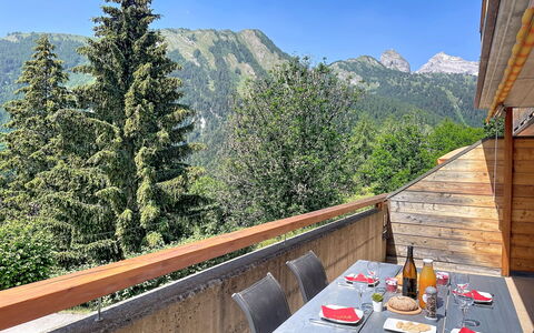 Cornalin 2: Berg, Gebirge, Bergstation, Alpen, Senke, Lärche, Grat, Hartholz, Balkon