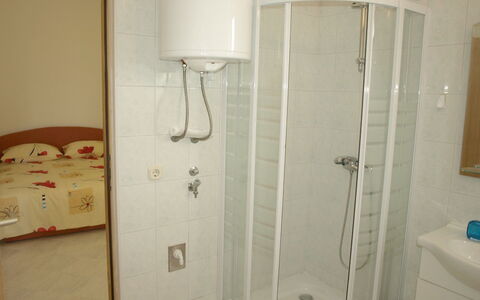Zdenko 1: Eigentum, Zimmer, Badezimmer, Duschpaneel, Wand, Dusche, Armatur, Brausenstange, Die Architektur, Bad Zubehör