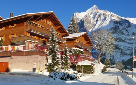Firstsunne: Himmel, Gebäude, Schnee, Pflanze, Berg, Fenster, Steigung, Baum, Haus, Lärche