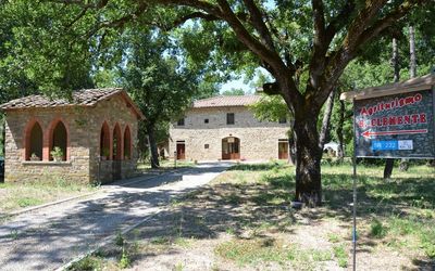Agriturismo San Clemente - Panzano in Chianti, Toskana, Italien - Pinot