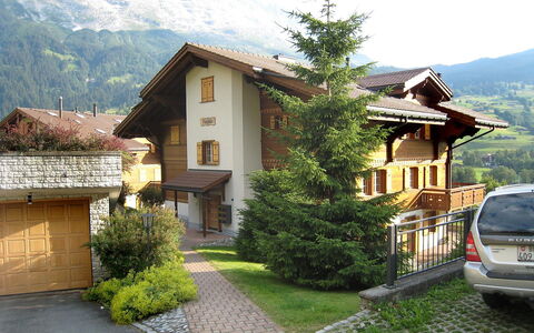 Chalet Nagano: Eigentum, Haus, Gebäude, Zuhause, Grundeigentum, Wohngebiet, \Stadt, Die Architektur, Dach, Berg
